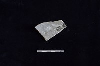 陶片藏品圖，第2張